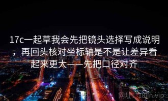 17c一起草我会先把镜头选择写成说明，再回头核对坐标轴是不是让差异看起来更大——先把口径对齐